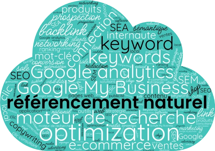 Nuage de mots présentant la stratégie d'optimisation SEO des pages de contenu que doit intégré un consultant seo à brest